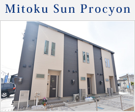 Mitoku Sun Procyon