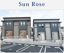 Sun Rose